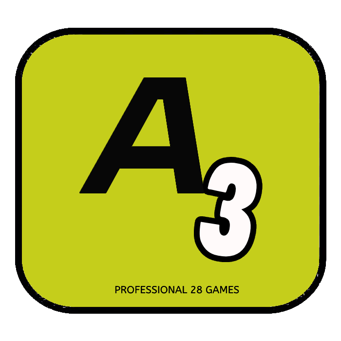 A3